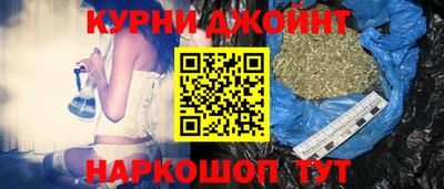 сатива Бийск
