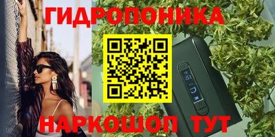 сатива Бийск