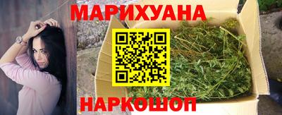 сатива Бийск