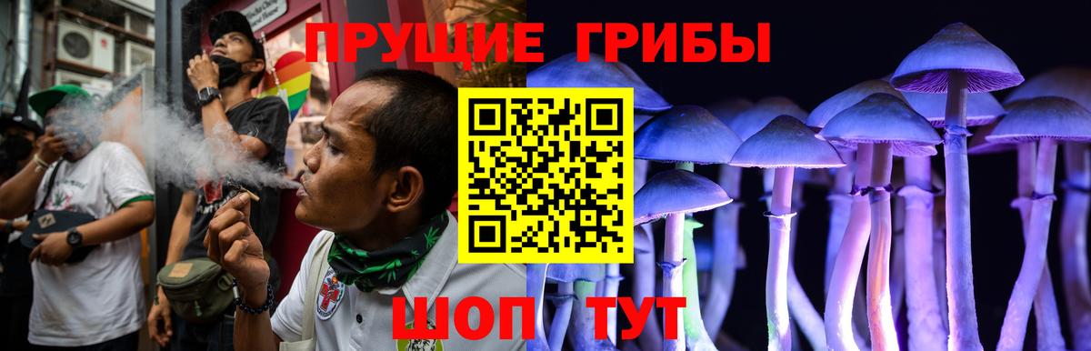 Галлюциногенные грибы Cubensis  Вход с VPN  Ивантеевка 